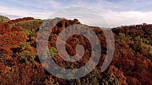 Flying over Autumn forest