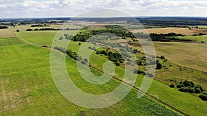 Flying over beautiful country side green landscape with field and trees, belarus nature, summer sunny, aerial shot