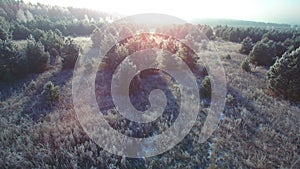 Flying over a fairytale romantic frozen forest background. Beautiful sunrise frost and snow on the grass and branches