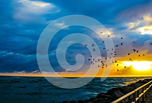 Flying Over the Jetty