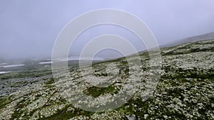 Flying over mountainside, foggy landscape overgrown with reindeer moss lichen