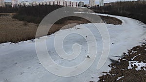 Flying over a river covered with ice. Fishermen are sitting on the ice. Winter fishing. Multi-storey buildings are visible on the