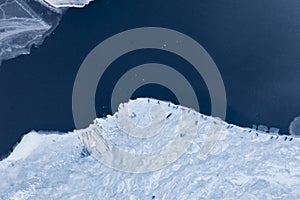 Flying over seals on a glacier ice sheet lagoon in Iceland