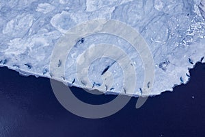 Flying over seals on a glacier ice sheet lagoon in Iceland