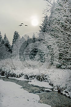 Flying over the snowy landscape