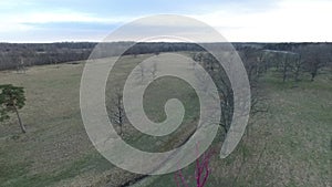 Flying over spring forest with pink oak tree