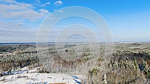 Flying over white spruce trees covered in fresh snow on sunny winter day. Motion. Mixed forest after snowing in stunning