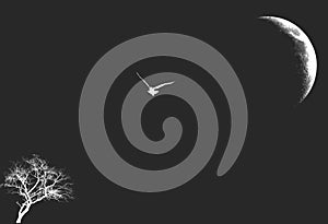 Flying owl bird illustration against single bare leafless tree and half  moon silhouette in black and white.
