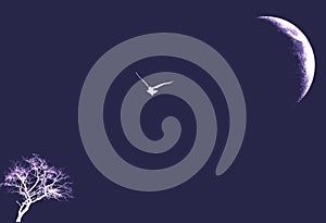 Flying owl bird illustration against single bare leafless tree and half  moon silhouette in blue and white.
