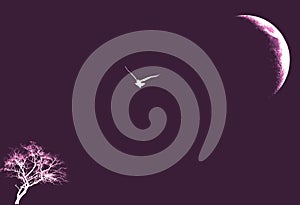Flying owl bird illustration against single bare leafless tree and half  moon silhouette in purple and white.