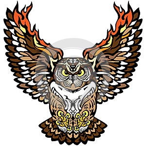 Flying owl front view