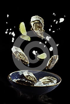 Flying oysters with lime and ice out of plate. Concept of food preparation in low gravity mode, food levitation