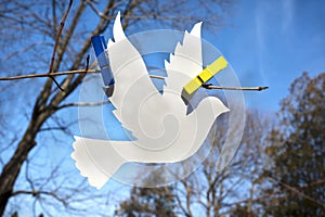 Flying paper peace dove on blue sky. Ukraine , say no to war