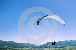 Flying paragliders in the sky
