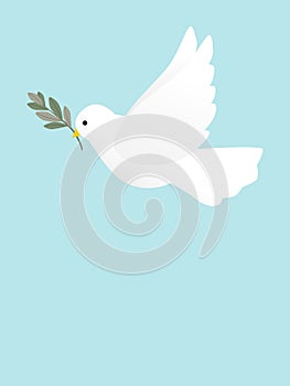 A Flying Peace Dove With Olive Branch