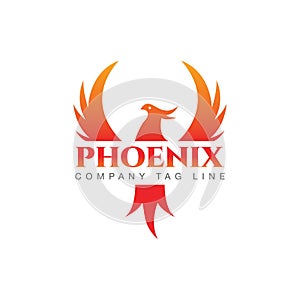 Flying Phoenix Fire Bird abstract Logo design vector template. Dove Eagle Logotype concept icon. Vector high quality design concep