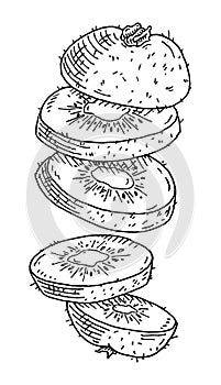 Flying pieces of fresh kiwi. Vintage engraving black monochrome illustration.