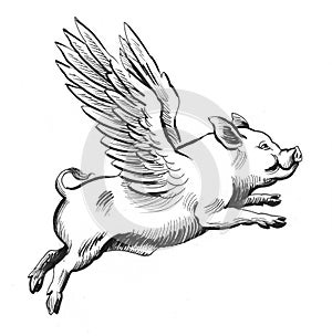 Flying pig