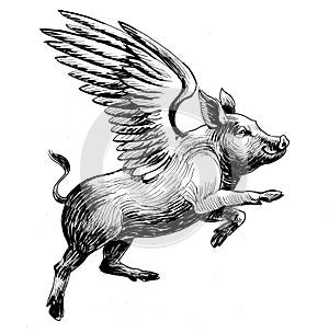 Flying pig