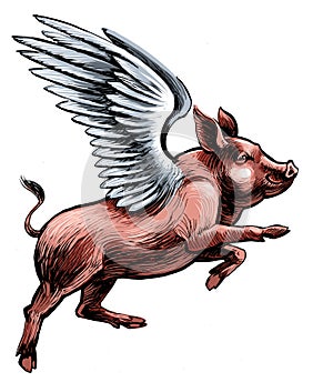 Flying pig