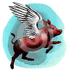 Flying pig