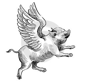 Flying pig