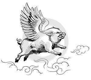 Flying pig