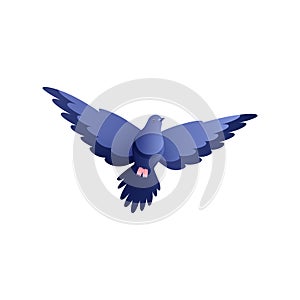 Flying Pigeon Illustration
