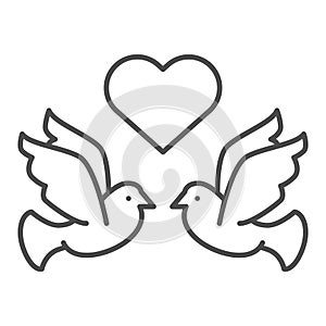 Flying pigeons with heart thin line icon. Love birds vector illustration isolated on white. Valentine day outline style