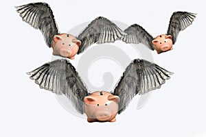 Flying Pigs