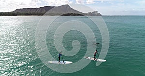 Flying POV, People on SUP next to dolphins off the coast of Honolulu, Hawaii, in blue water, slow motion _