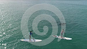 Flying POV, People on SUP next to dolphins off the coast of Malaysia, in deep blue water, slow motion _