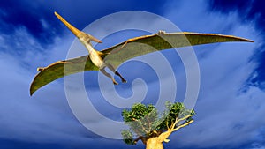 Flying pterodactyl