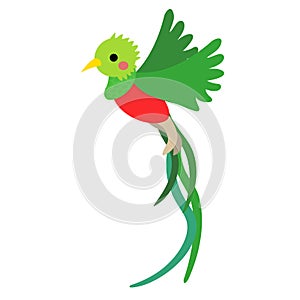 Flying Quetzal bird animal cartoon character vector illustration