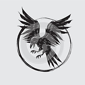 Flying raven vector illustration