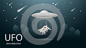 Flying saucer UFO abducting animal is the cow in the beam of light banner design in dark blue background illustration of night