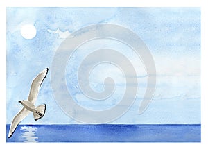 Flying sea gull painting
