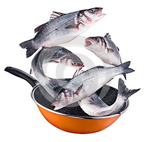 Flying seabass fishes falling into a frying pan. Clipping path