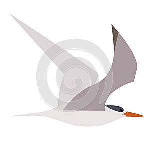 Flying seagull flat illustration on white