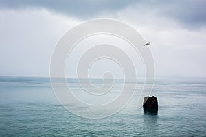 flying seagull and rock on sea