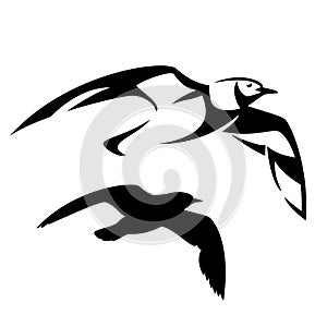 Flying seagull vector design