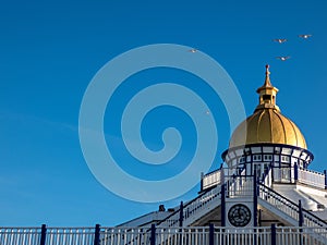 Flying seagulls in the brighr blue sky over Eastbourne pier