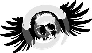 Flying Skull