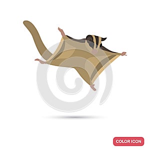Flying squirel clor flat icon for web and mobile design photo