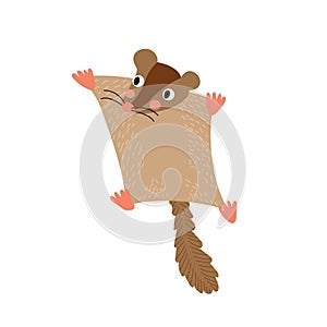 Flying Squirrel animal cartoon character vector illustration