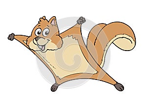 Flying squirrel cartoon