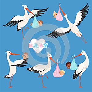 Flying stork baby. Bird delivery newborn cute little childrens vector carry stork characters isolated