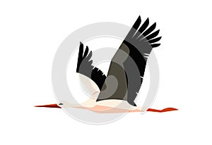 Flying stork bird with black and white feathering, long beak and legs isolated, cartoon vector wildlife animal bird