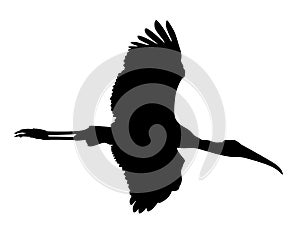 Flying stork silhouette 5.