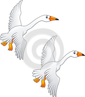 Flying swan high quality color